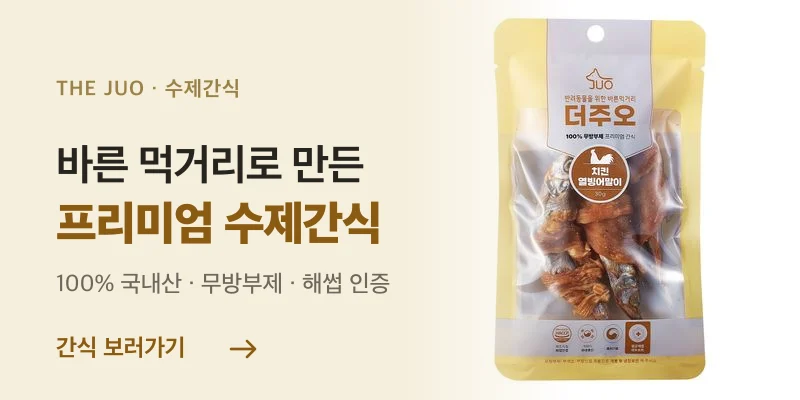 수제간식